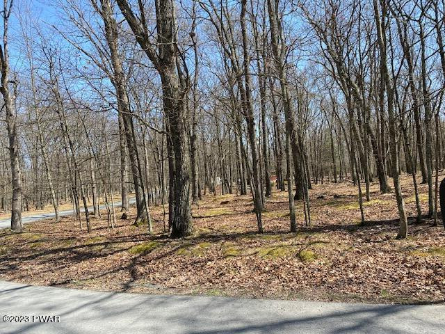 Lot 90 Deer Trail Drive, Hawley, Pennsylvania image 1