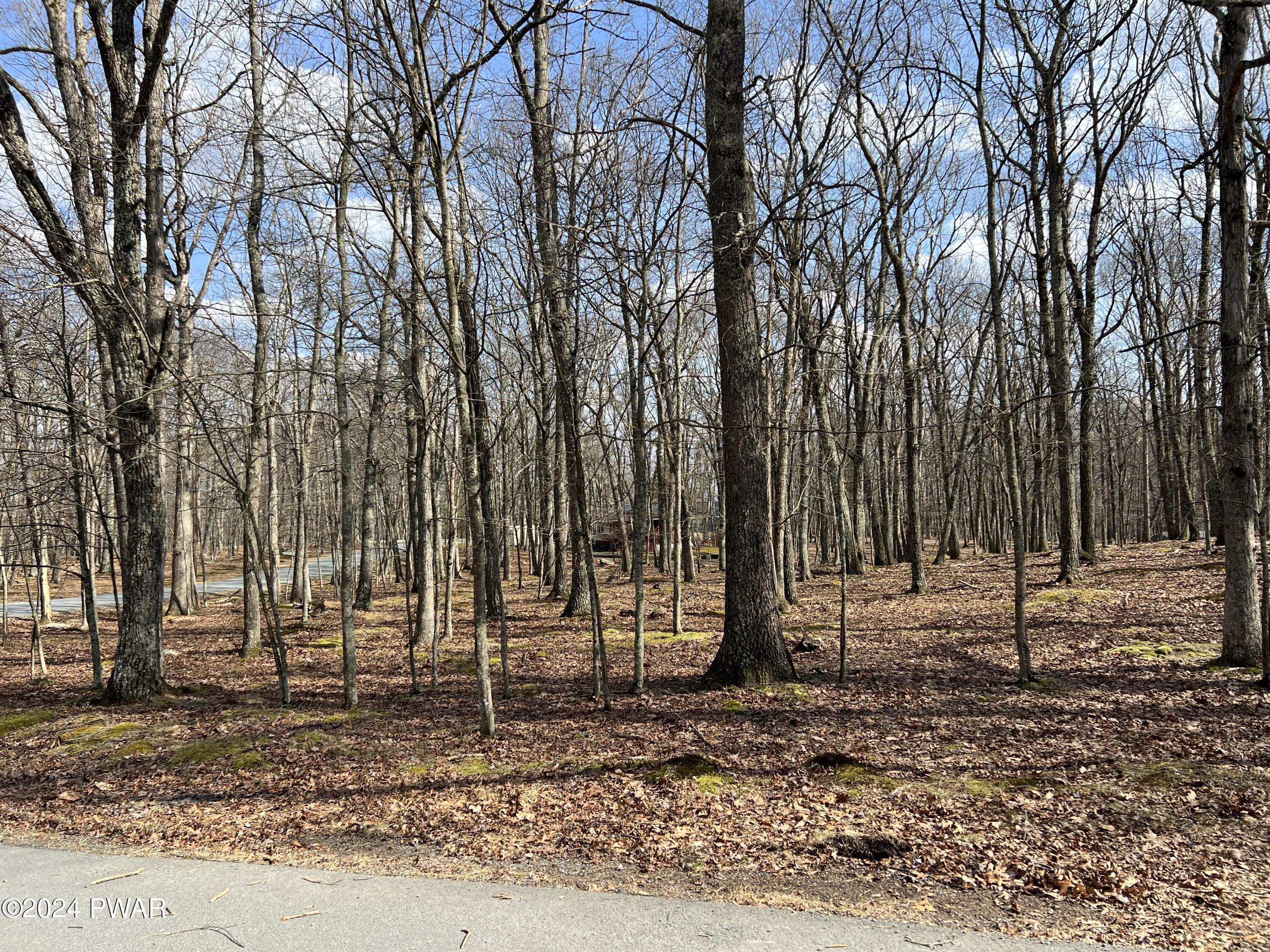 Lot 90 Deer Trail Drive, Hawley, Pennsylvania image 21