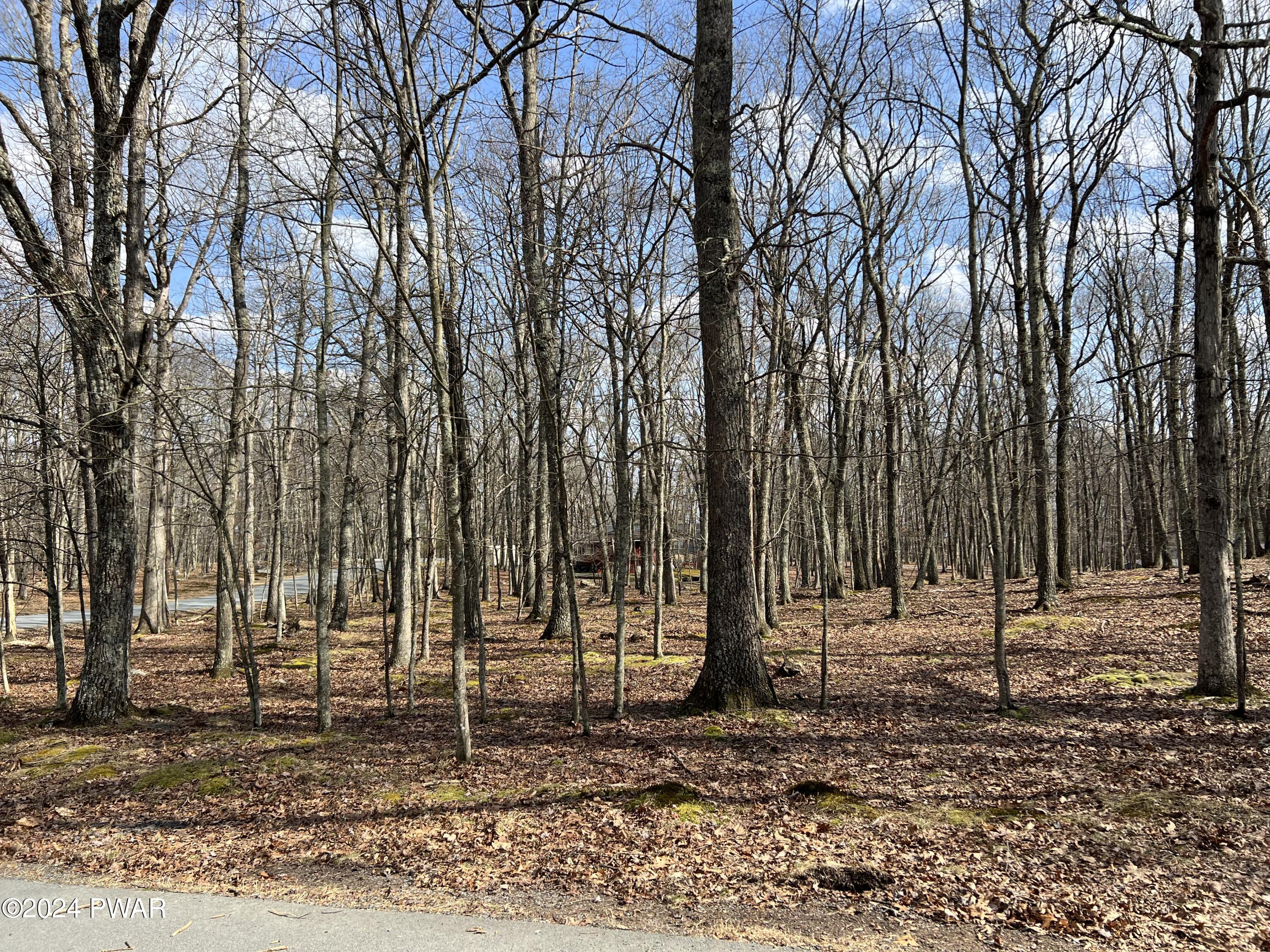 Lot 90 Deer Trail Drive, Hawley, Pennsylvania image 22