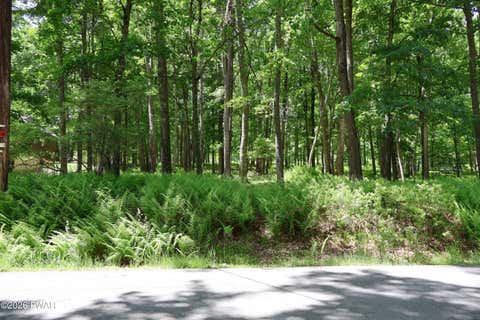 Vacant Land For Sale - 259 Fawn Lake Drive<br/> Hawley, PA 18428