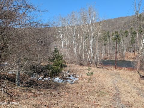 Vacant Land For Sale - Lance Corporal Jacob Biesel Road<br/> Pike County, Lackawaxen, PA 18435