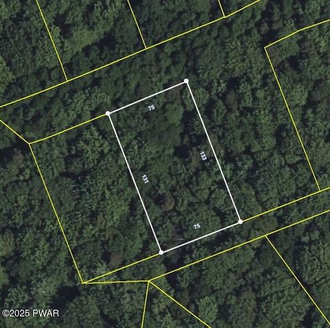 Vacant Land For Sale - LOT 177 Plumtree Road<br/> Newfoundland, PA 18445