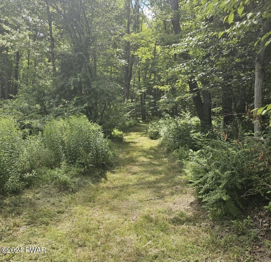 39 Boyds Mills Road, Beach Lake, Pennsylvania image 43