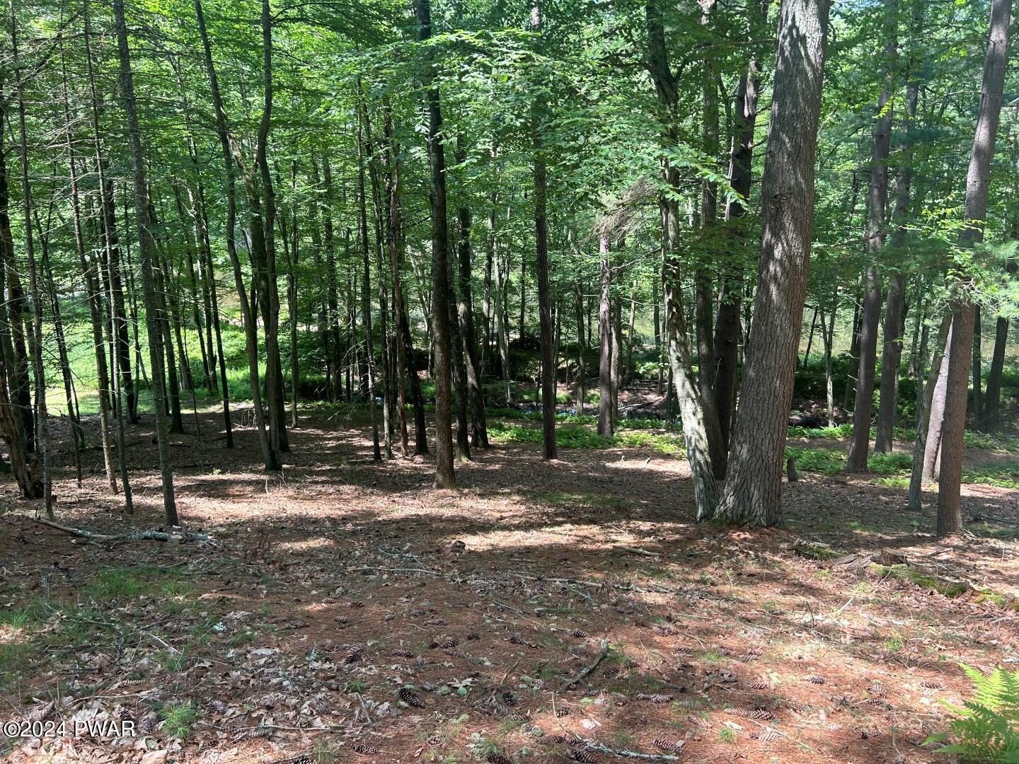 Lot 23 Circle Drive, Hawley, Pennsylvania image 10