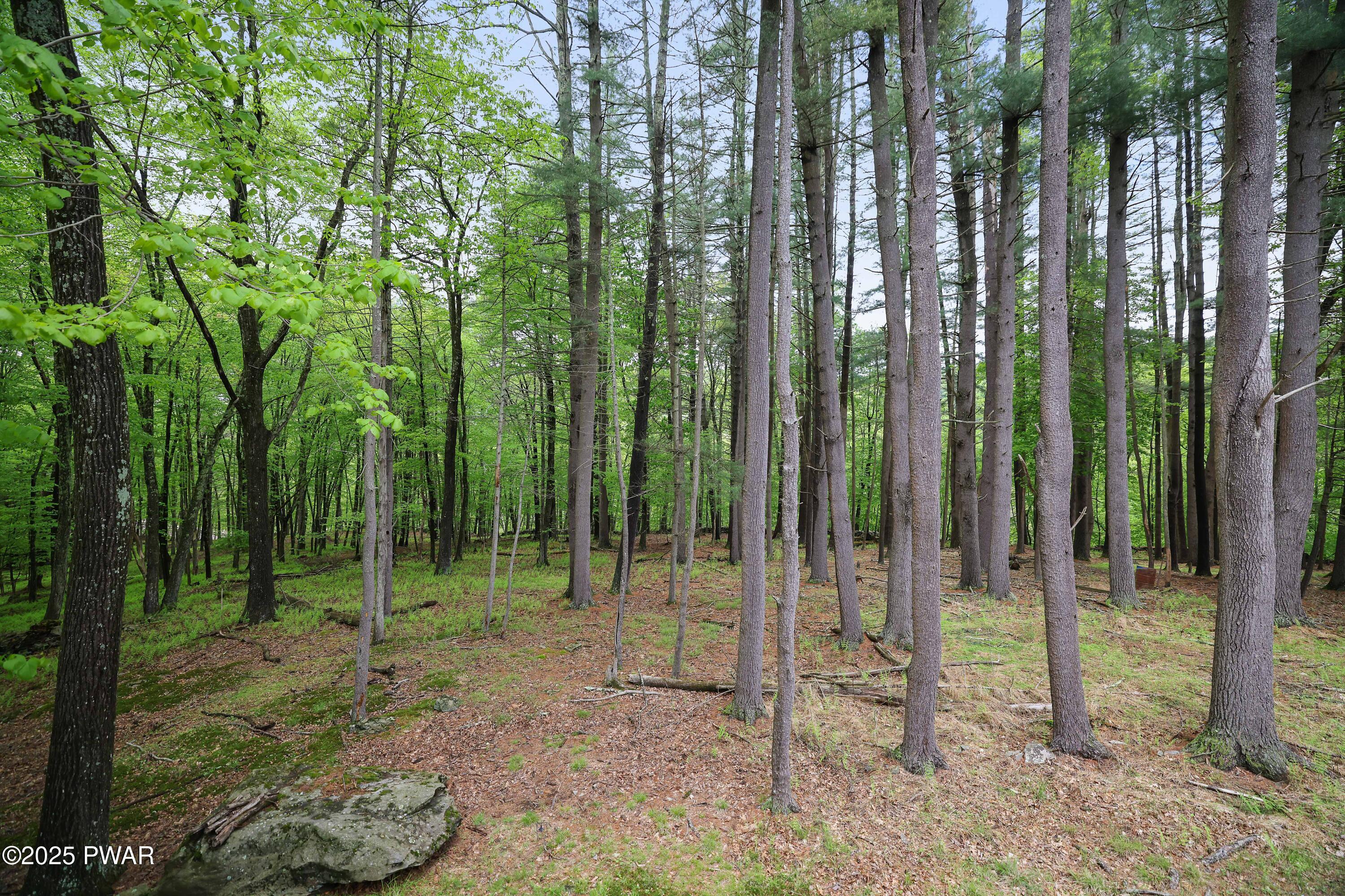 102 Bugle Court, Lackawaxen, Pennsylvania image 44