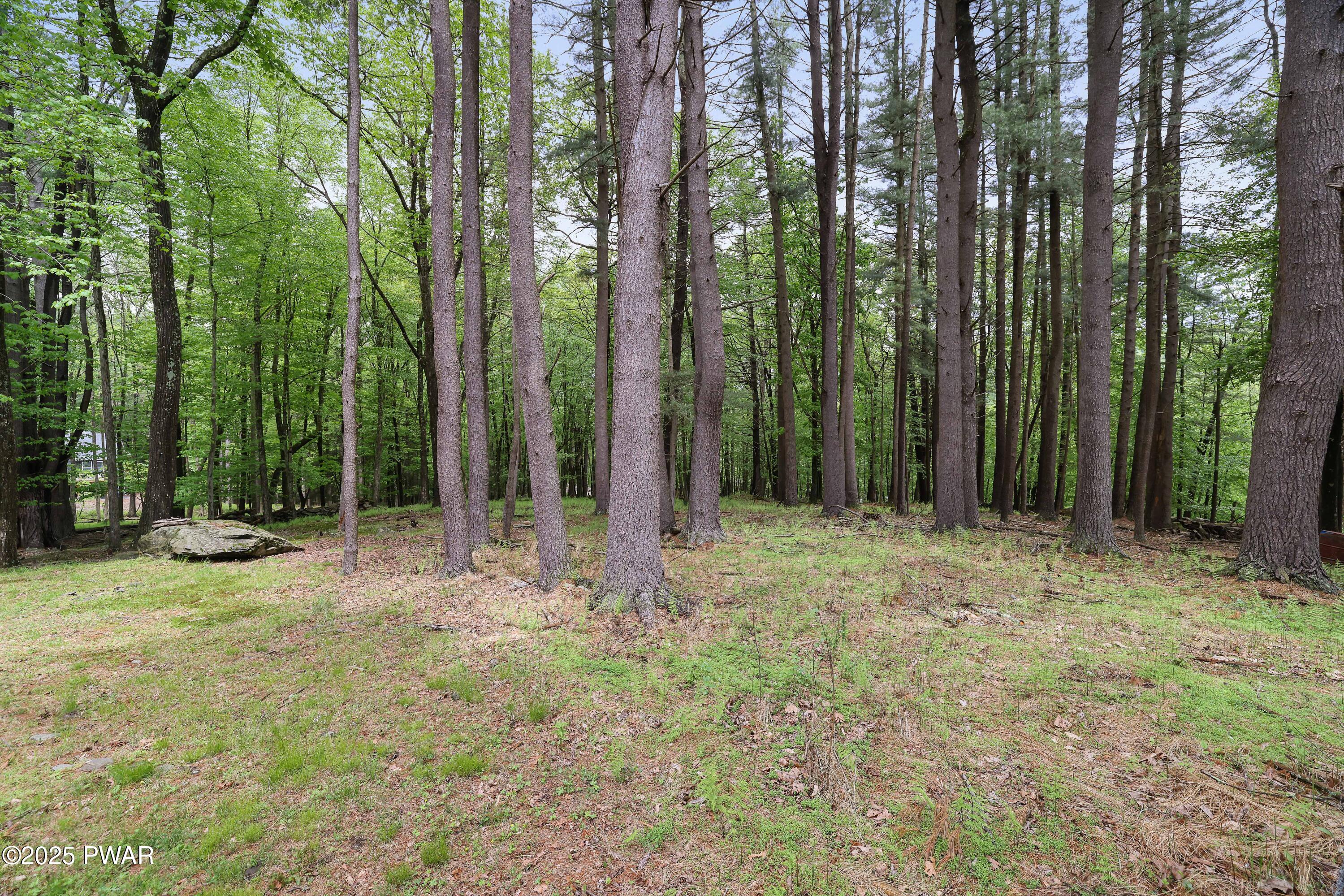 102 Bugle Court, Lackawaxen, Pennsylvania image 45