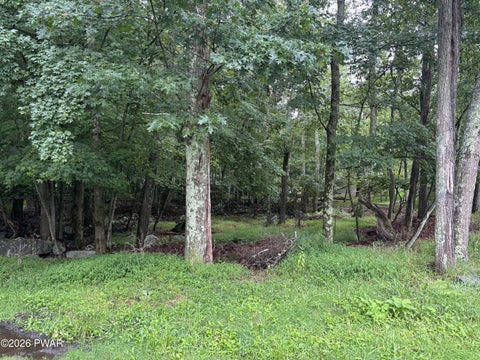Vacant Land For Sale - Lot  27 Partridge Court<br/> Dingmans Ferry, PA 18458