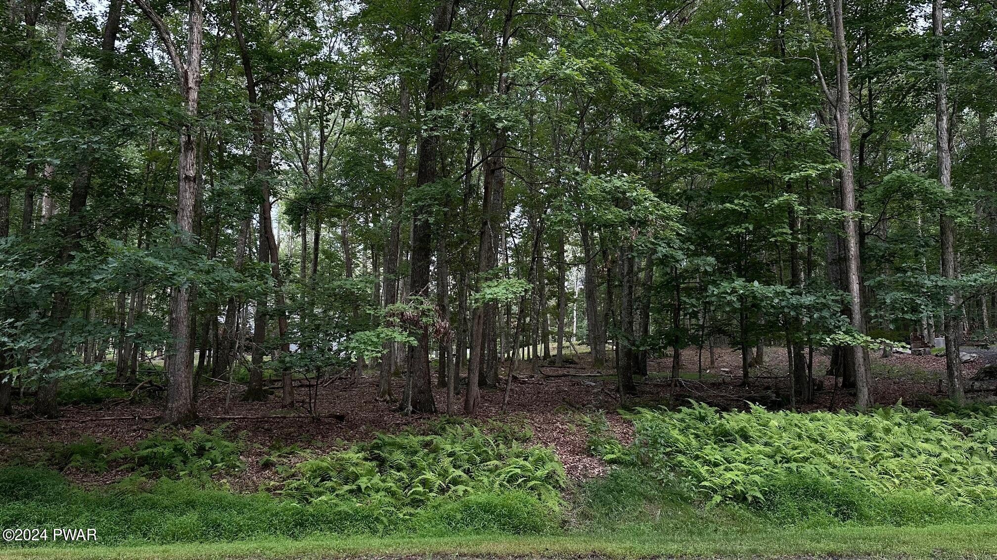 Lot 22 Cove Point Circle, Lakeville, Pennsylvania image 1