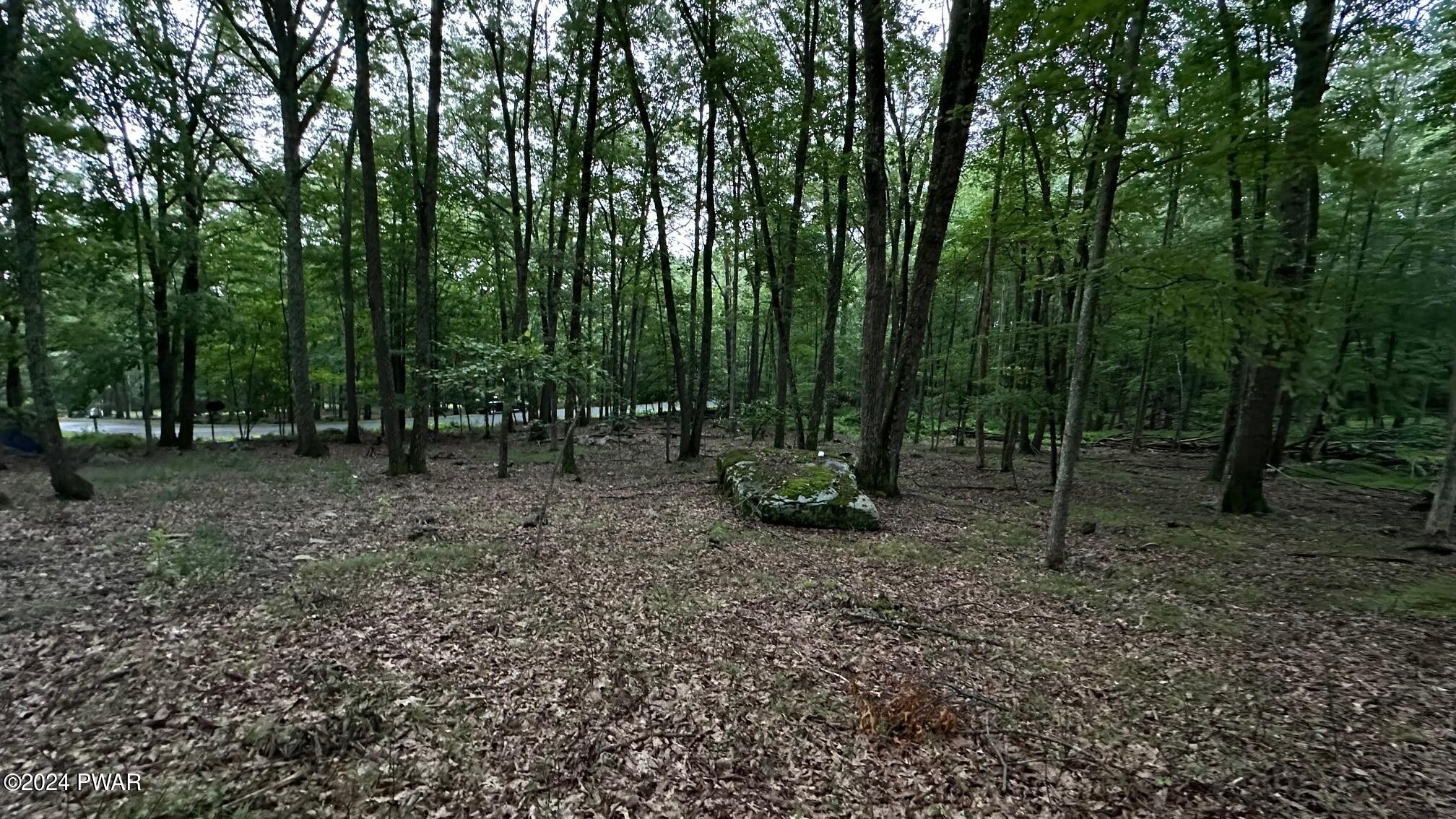 Lot 22 Cove Point Circle, Lakeville, Pennsylvania image 7