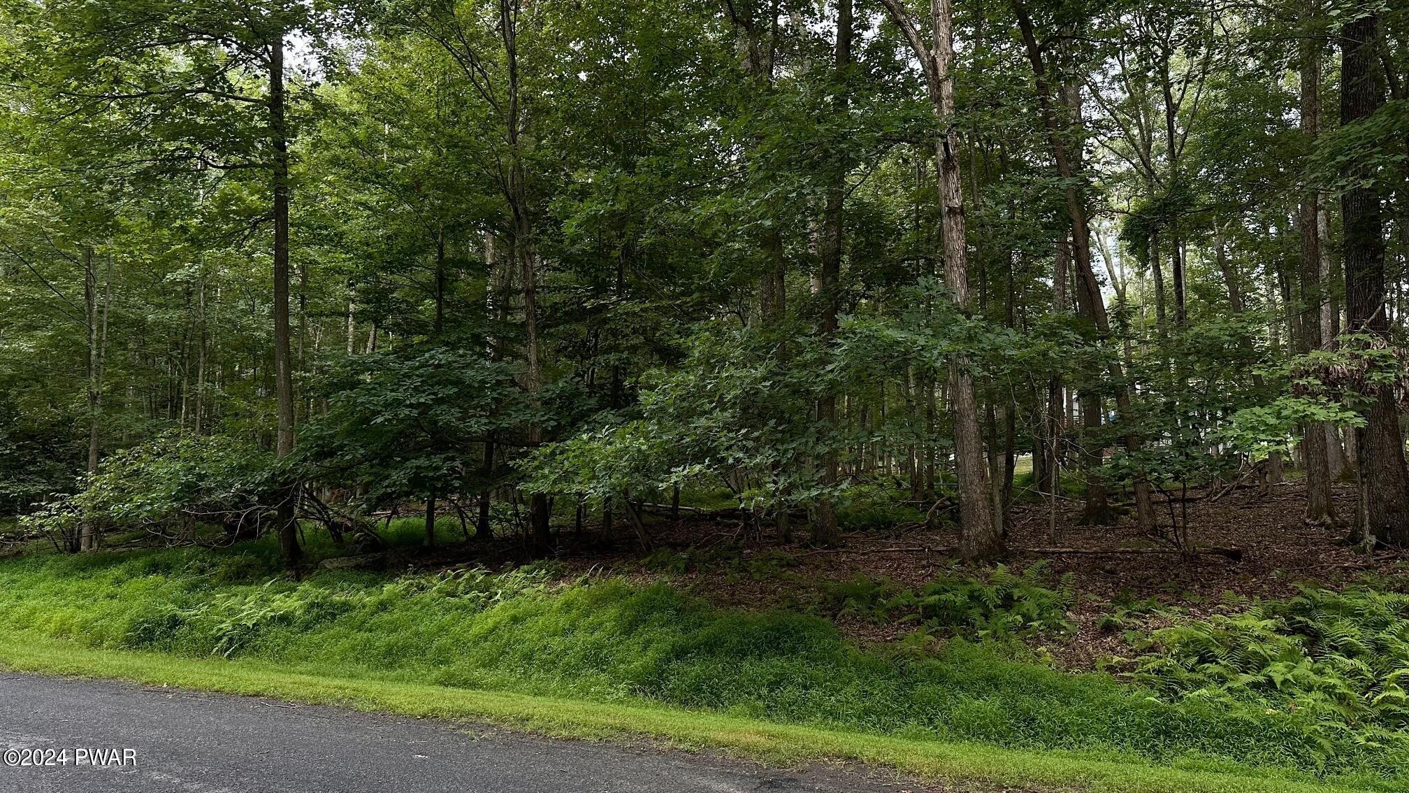 Lot 22 Cove Point Circle, Lakeville, Pennsylvania image 2