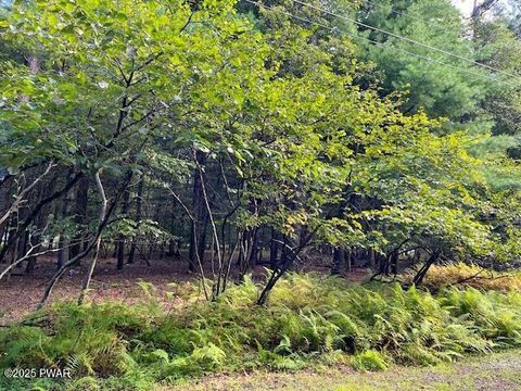 Vacant Land For Sale - LOT 235A Hound Road<br/> Dingmans Ferry, PA 18328