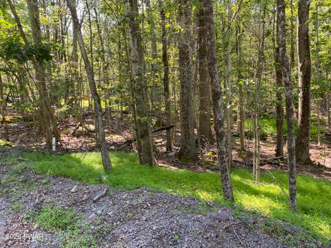 Vacant Land For Sale - 406 Windsor Road<br/> Hawley, PA 18428