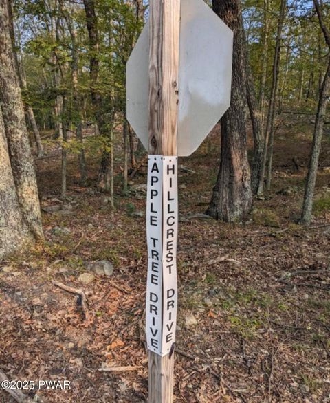 Vacant Land For Sale - LOT 1 Apple Tree Dr<br/> Dingmans Ferry, PA 18328