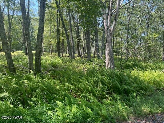 FLOYD CT, MILFORD, PA 18337 - Image 1b26f16ebaf6ea812e5ec90bb78299b4/4132029490