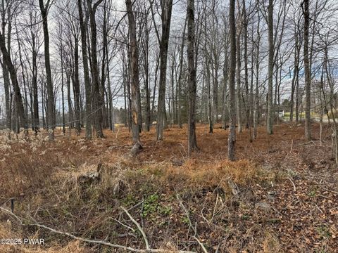 Vacant Land For Sale - LOT 1 Hazelton Road Drive<br/> Greentown, PA 18426