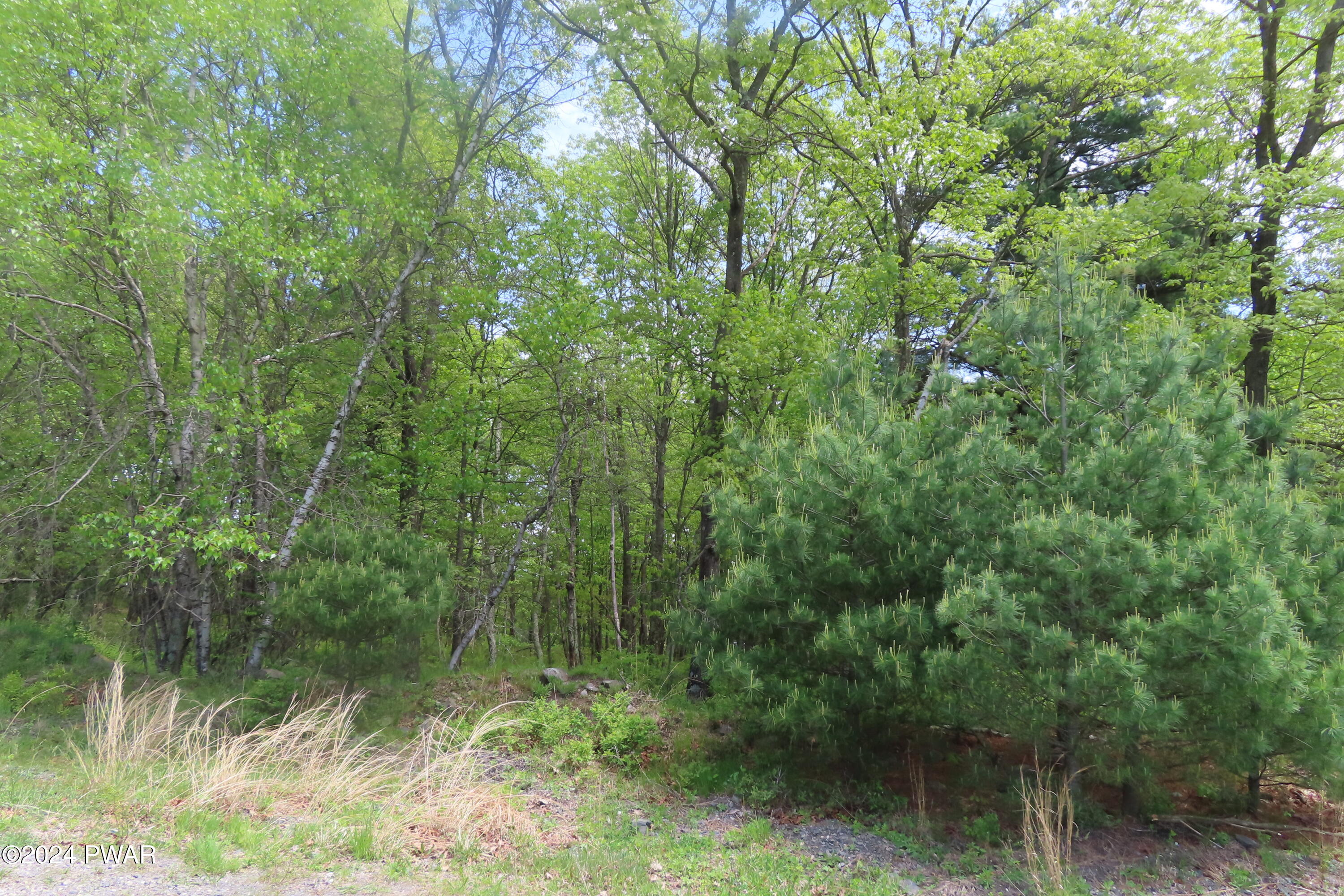 Lot 45.06 Heaters Hill Road, Matamoras, Pennsylvania image 3