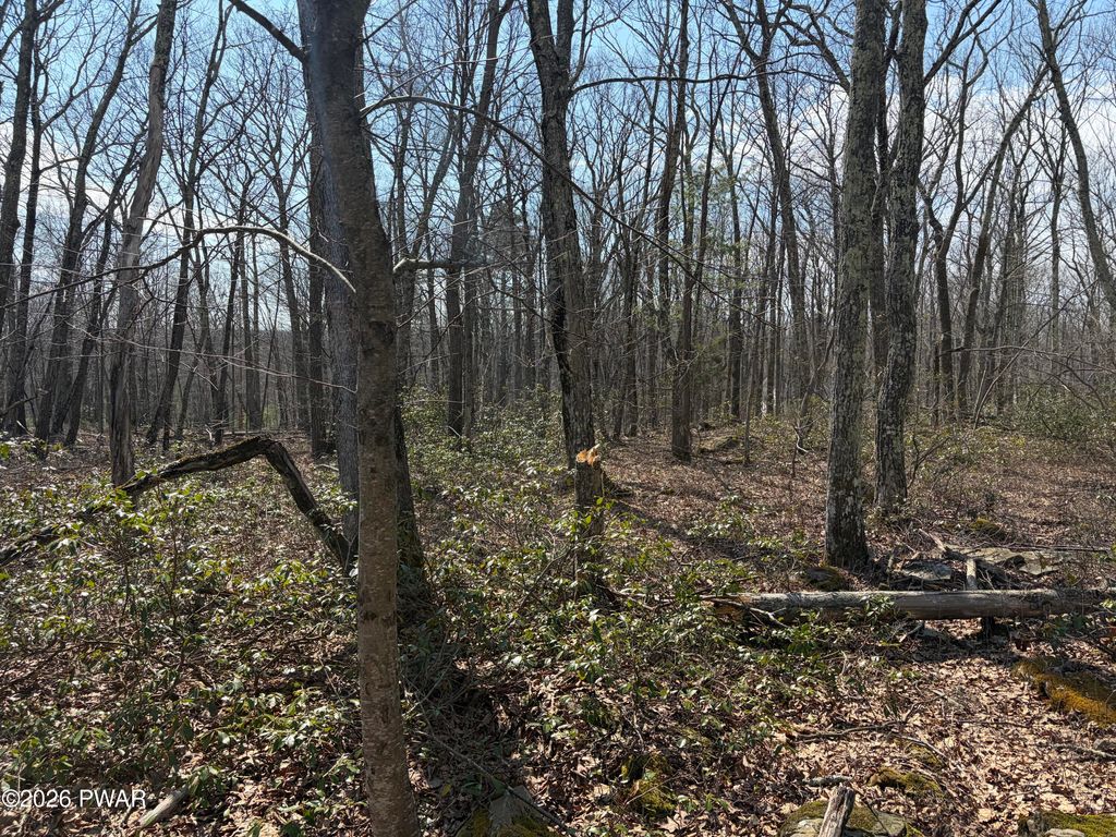 Photo of 3509 Walton Way &amp; Stockton Drive, Milford, PA 18428 (MLS # PW260772)