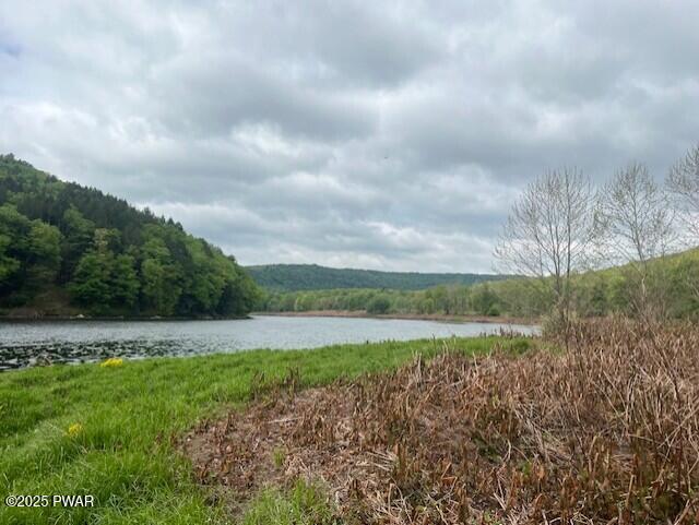 Lot 3 Warren Road, Hancock, New York image 19