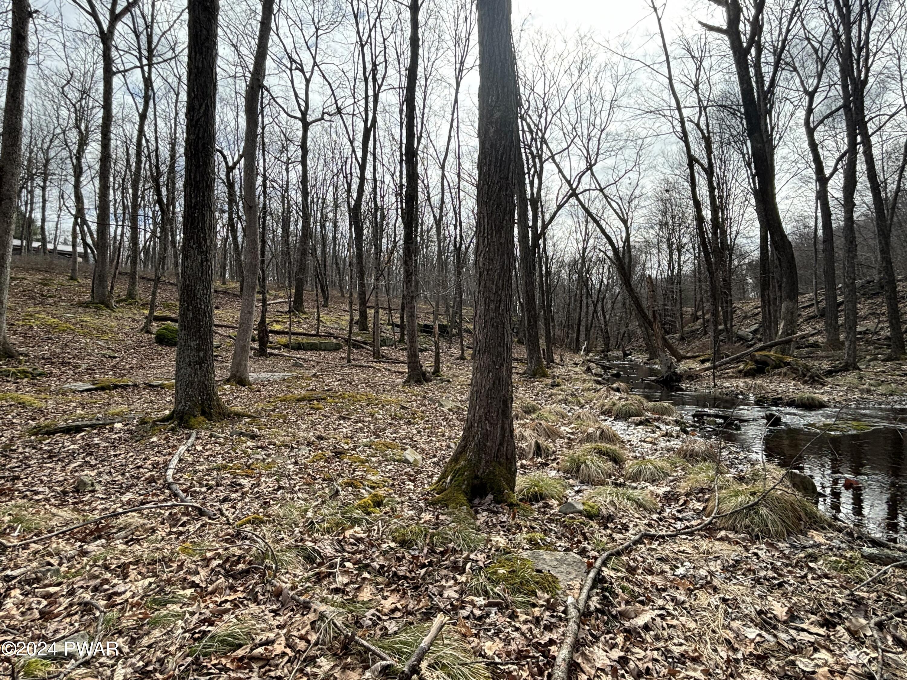 Dwarfskill Court, Milford, Pennsylvania image 9