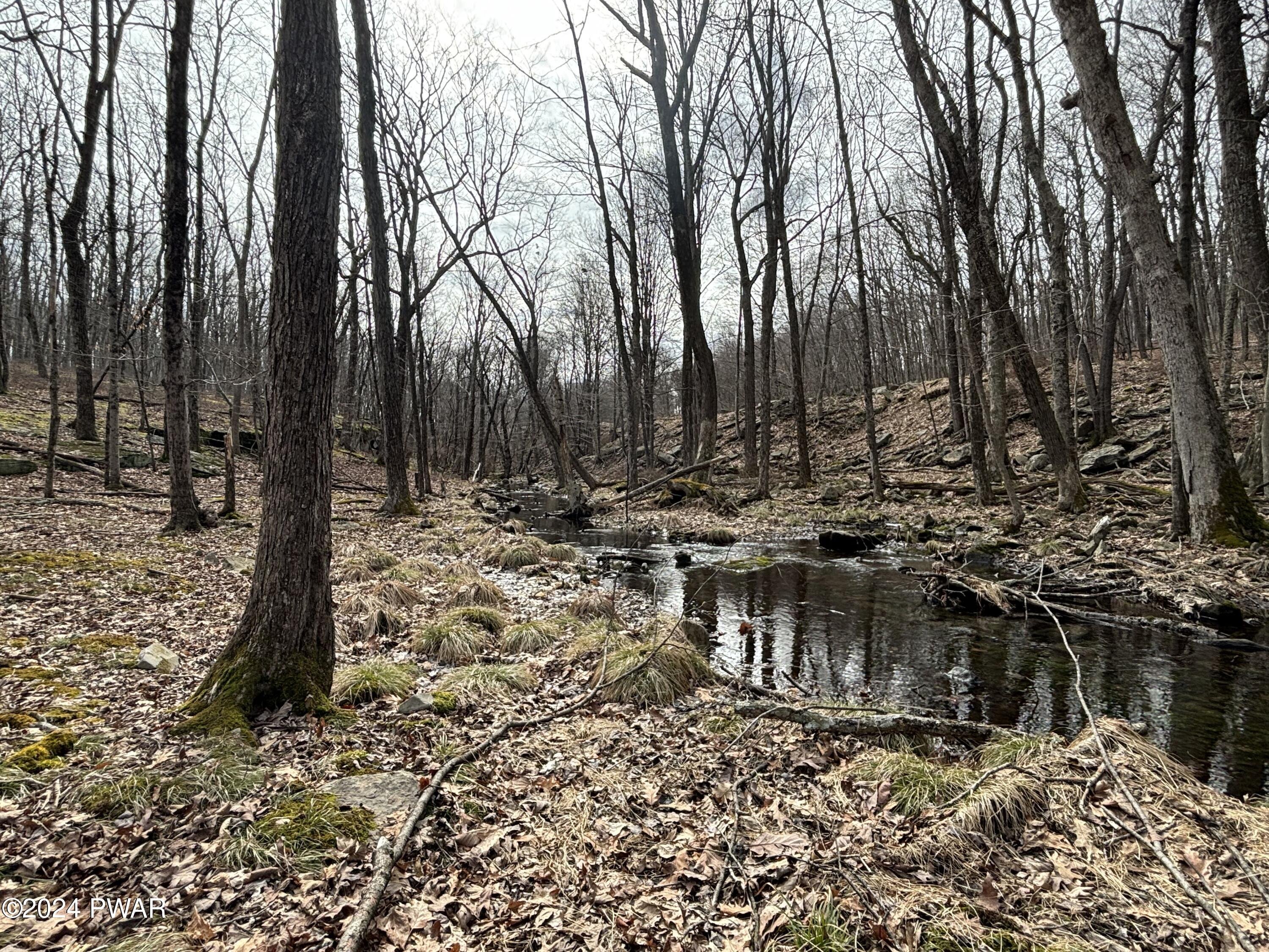 Dwarfskill Court, Milford, Pennsylvania image 4