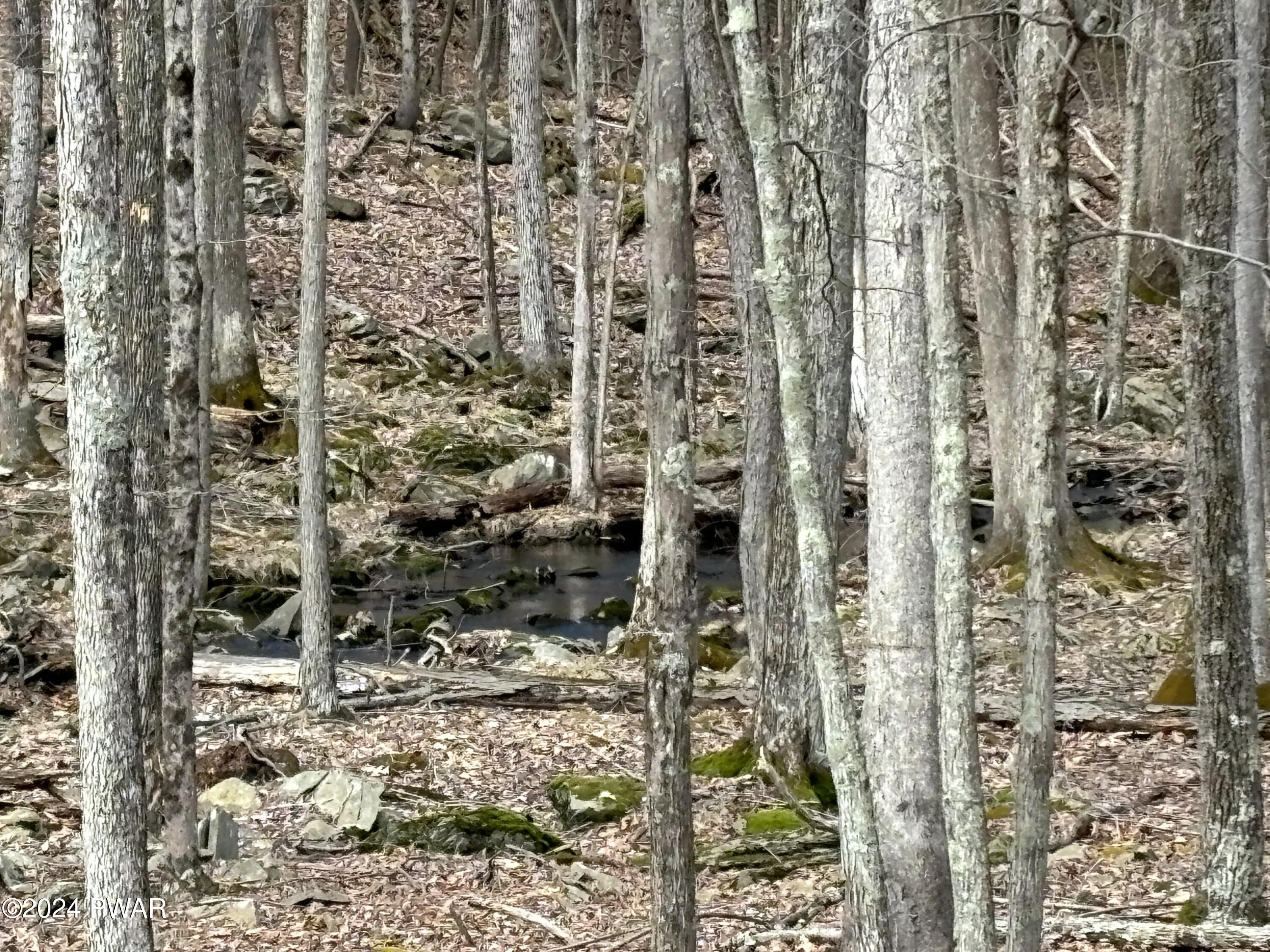 Dwarfskill Court, Milford, Pennsylvania image 8