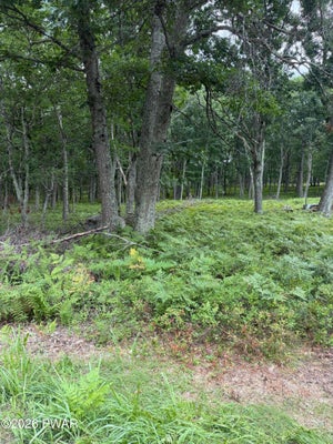 102 SNOWSHOE DR, DINGMANS FERRY, PA 18328 - Image 1d761ee5c04c892aa4d3f1f18df41e21/2820528581