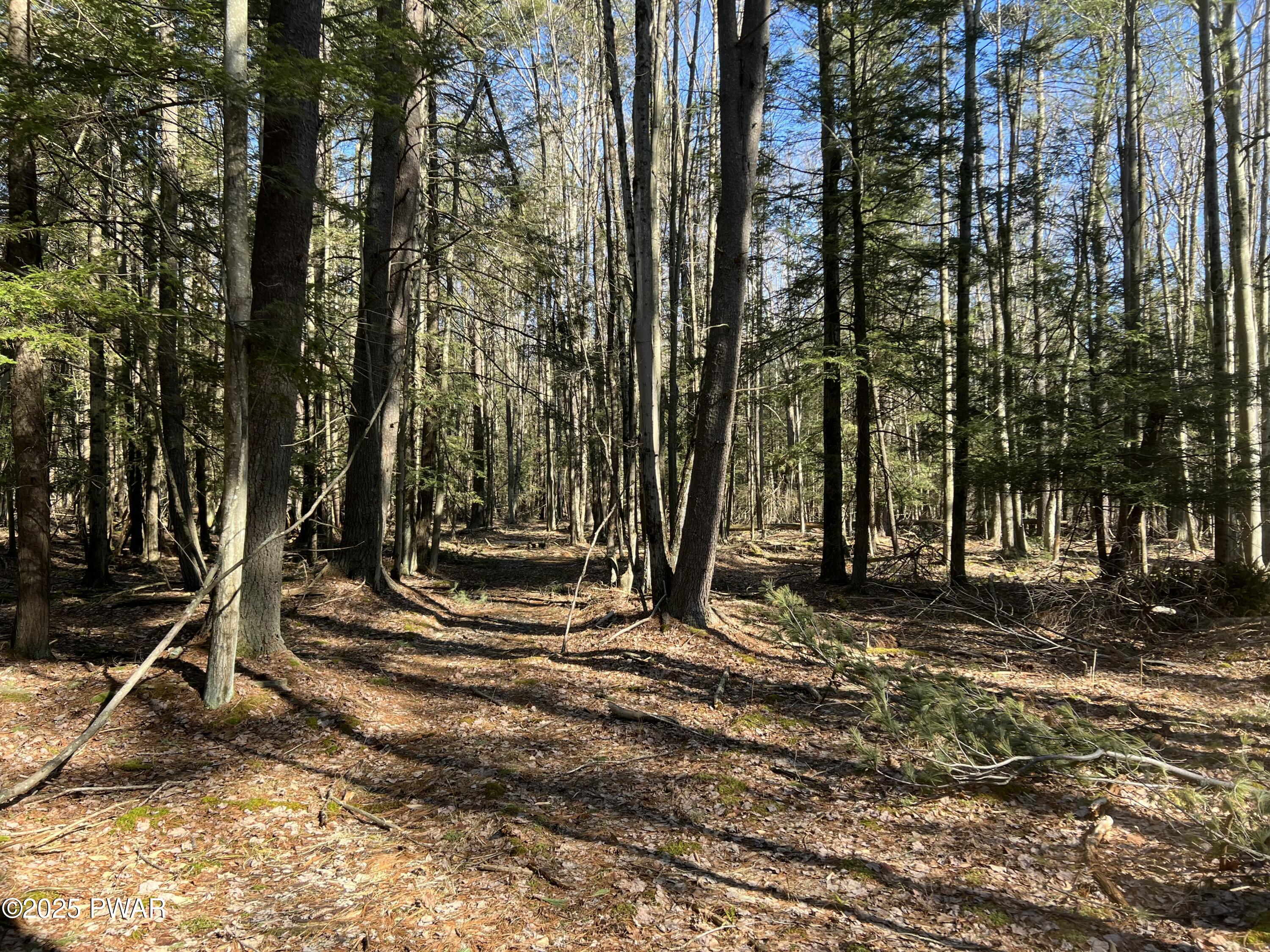 18R Deer Laurel Estates Road, Lake Ariel, Pennsylvania image 11