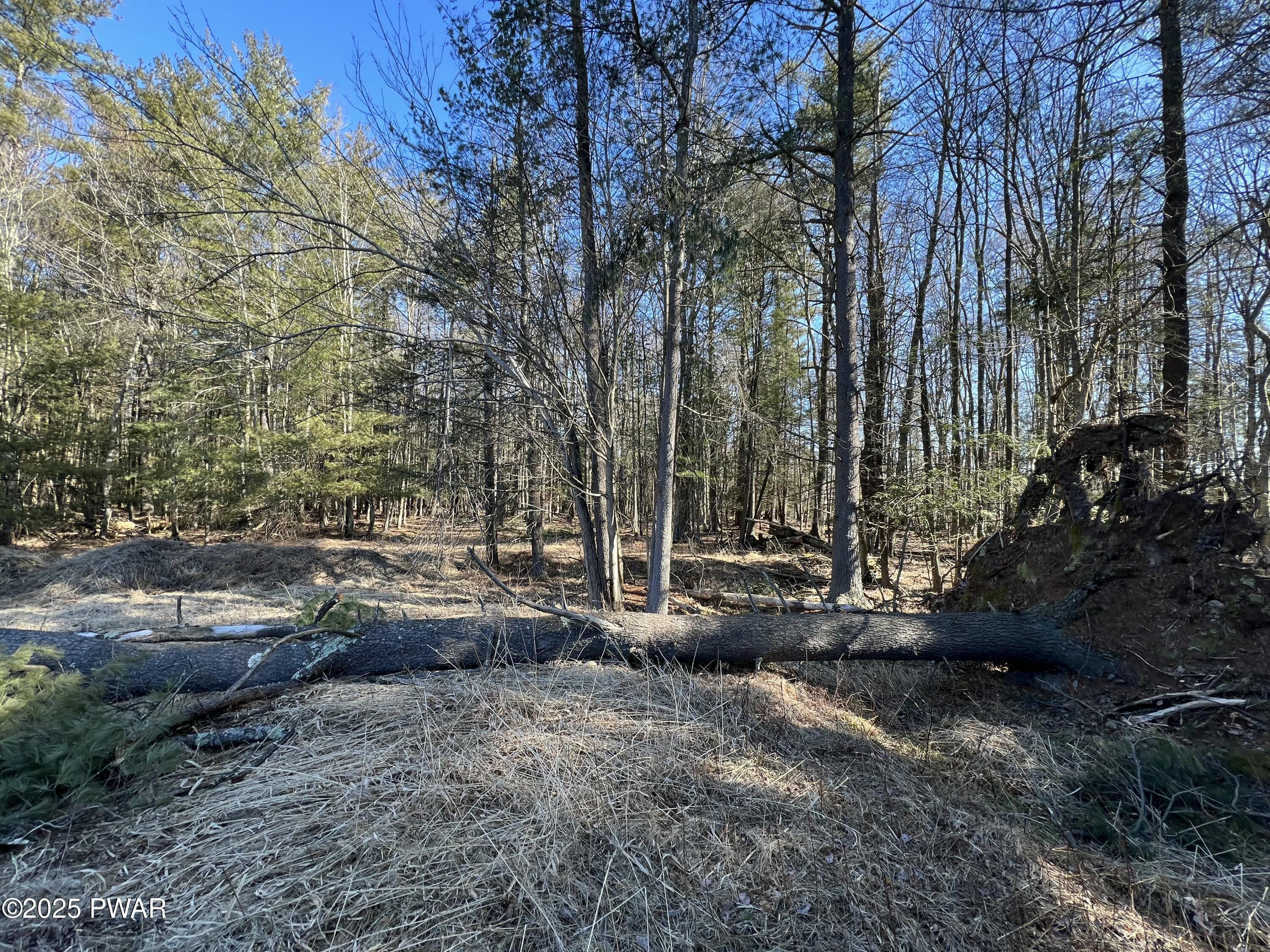 18R Deer Laurel Estates Road, Lake Ariel, Pennsylvania image 21