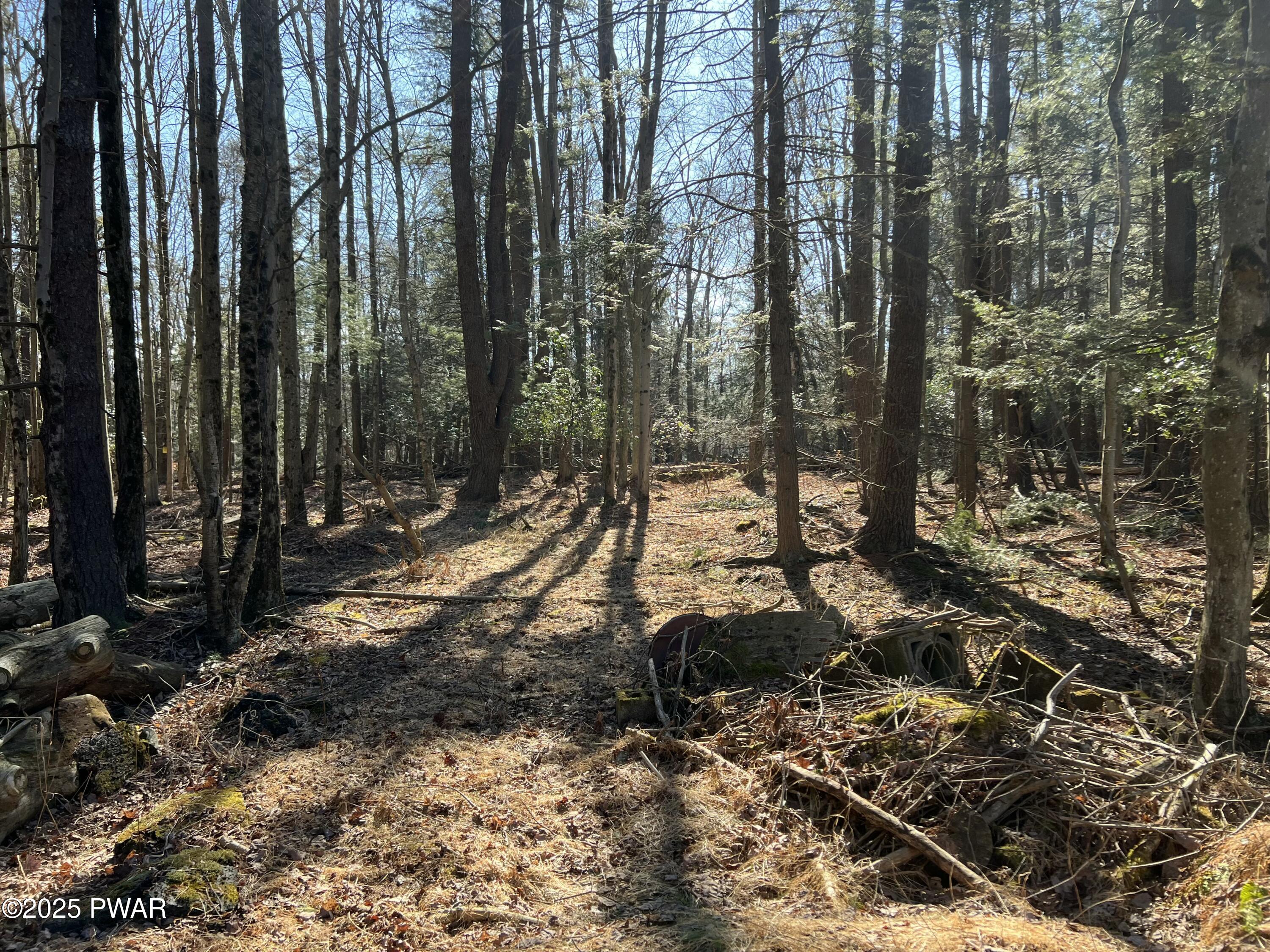 18R Deer Laurel Estates Road, Lake Ariel, Pennsylvania image 17