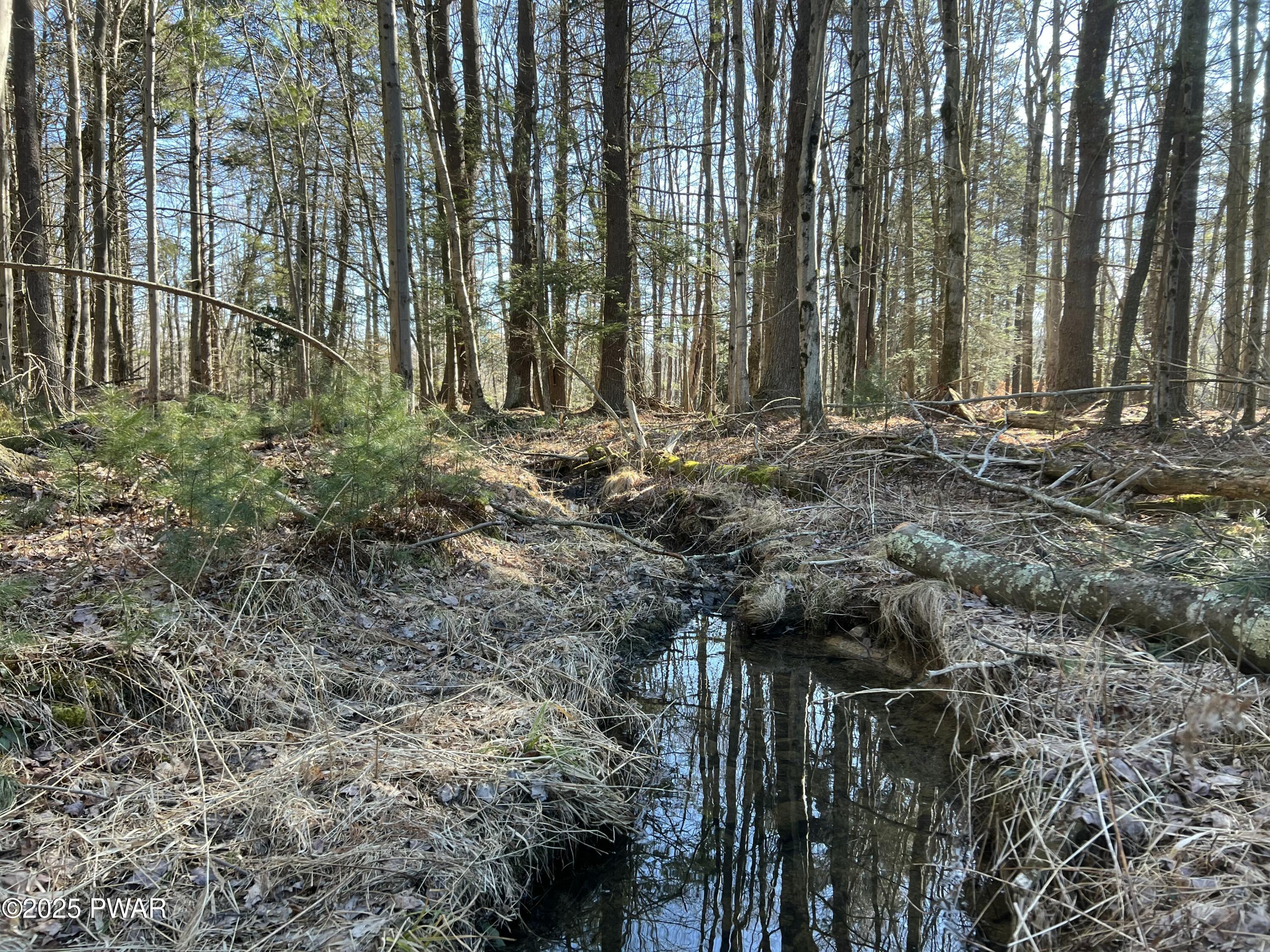 18R Deer Laurel Estates Road, Lake Ariel, Pennsylvania image 14