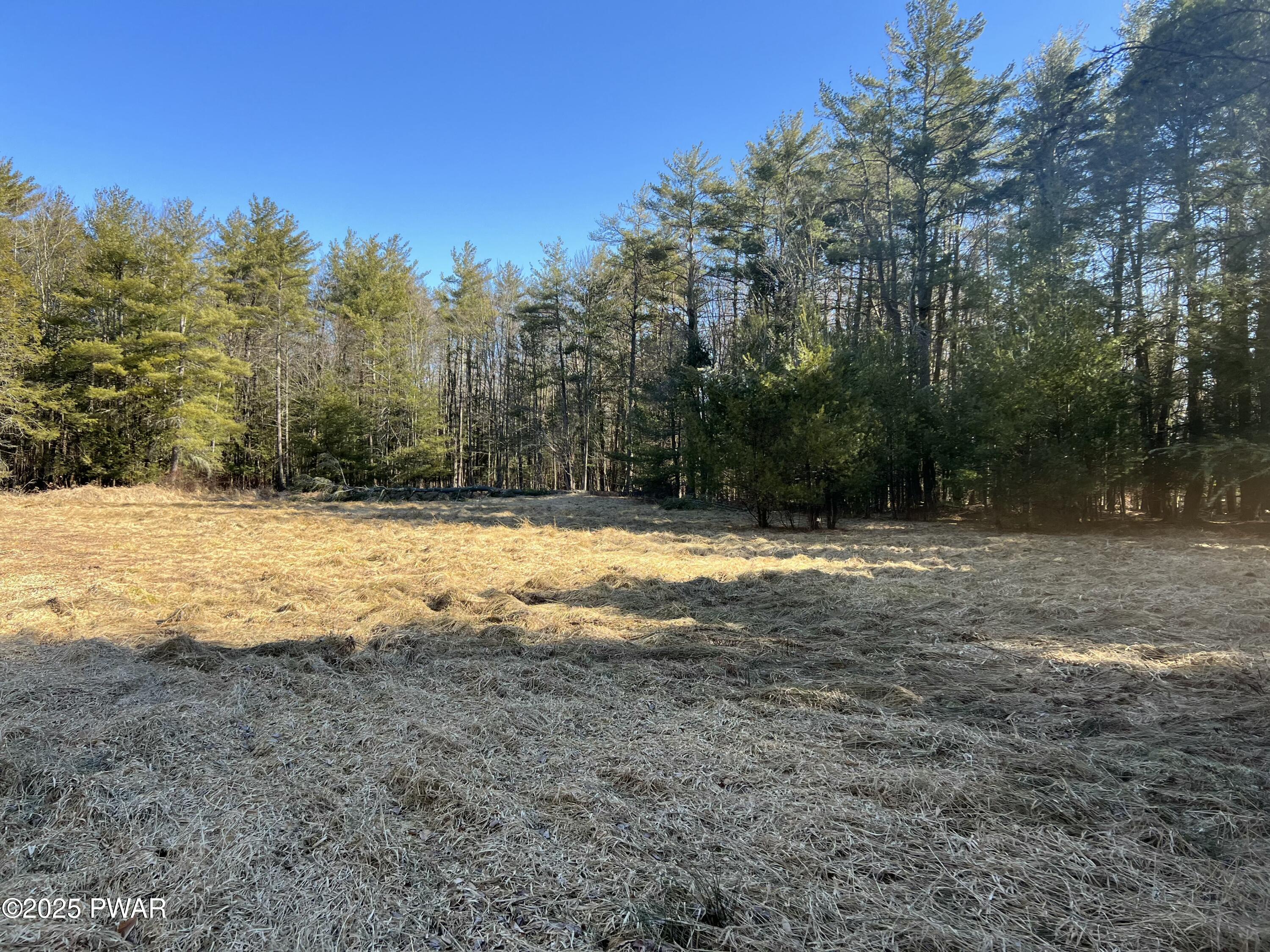 18R Deer Laurel Estates Road, Lake Ariel, Pennsylvania image 25