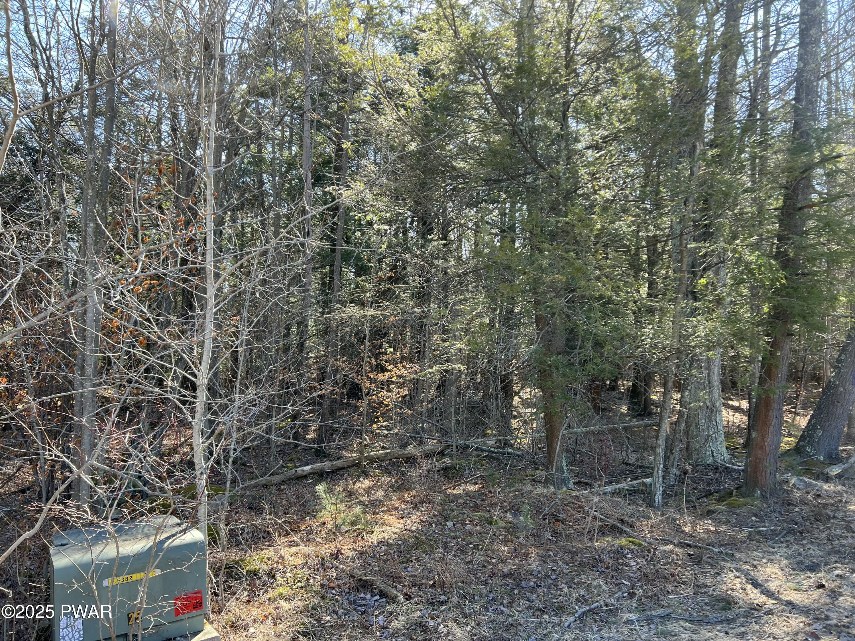18R Deer Laurel Estates Road, Lake Ariel, Pennsylvania image 7