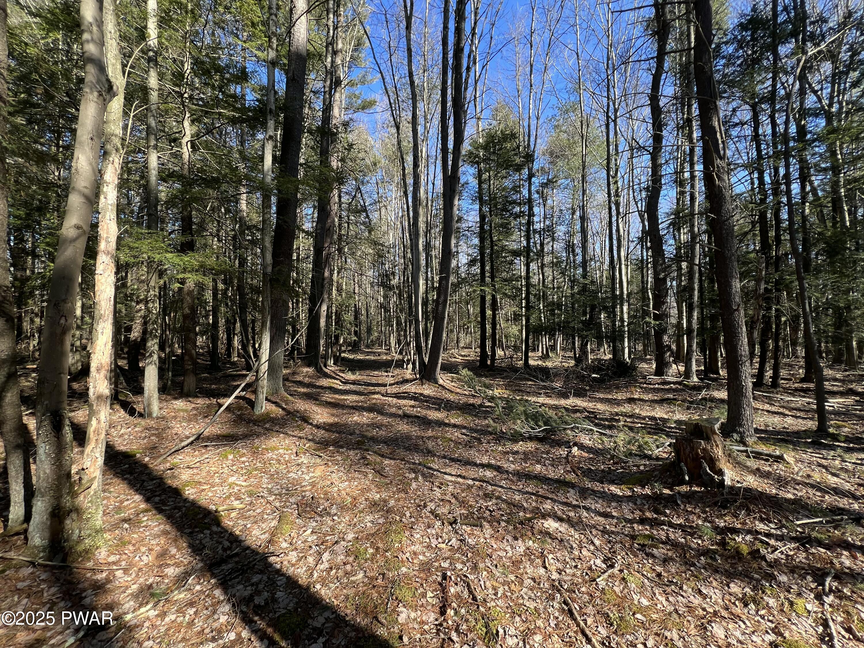18R Deer Laurel Estates Road, Lake Ariel, Pennsylvania image 12