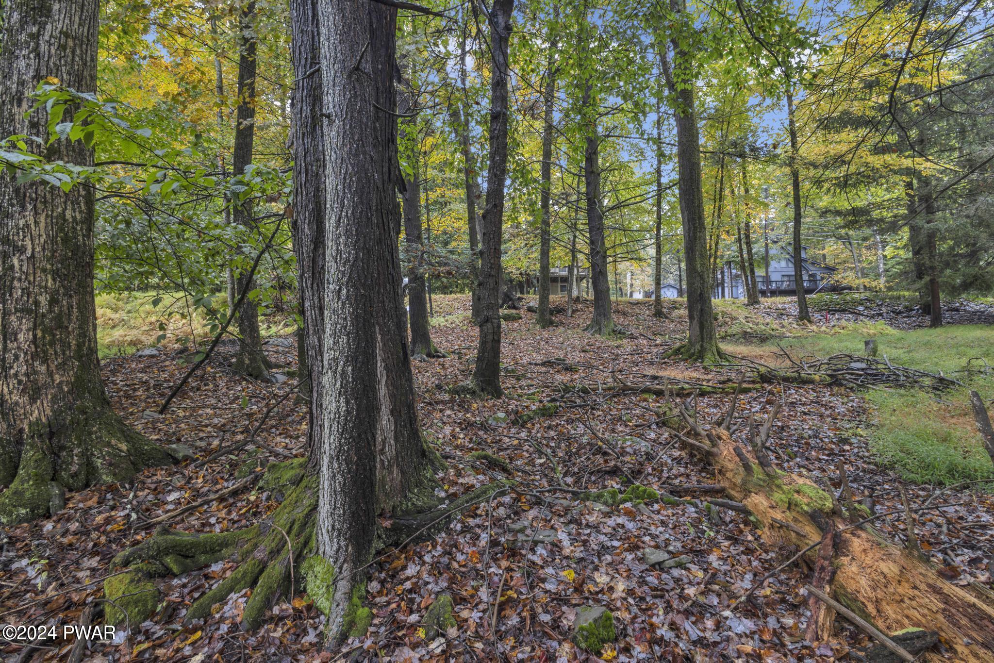 1024 Beaver Lake Drive, Paupack, Pennsylvania image 9