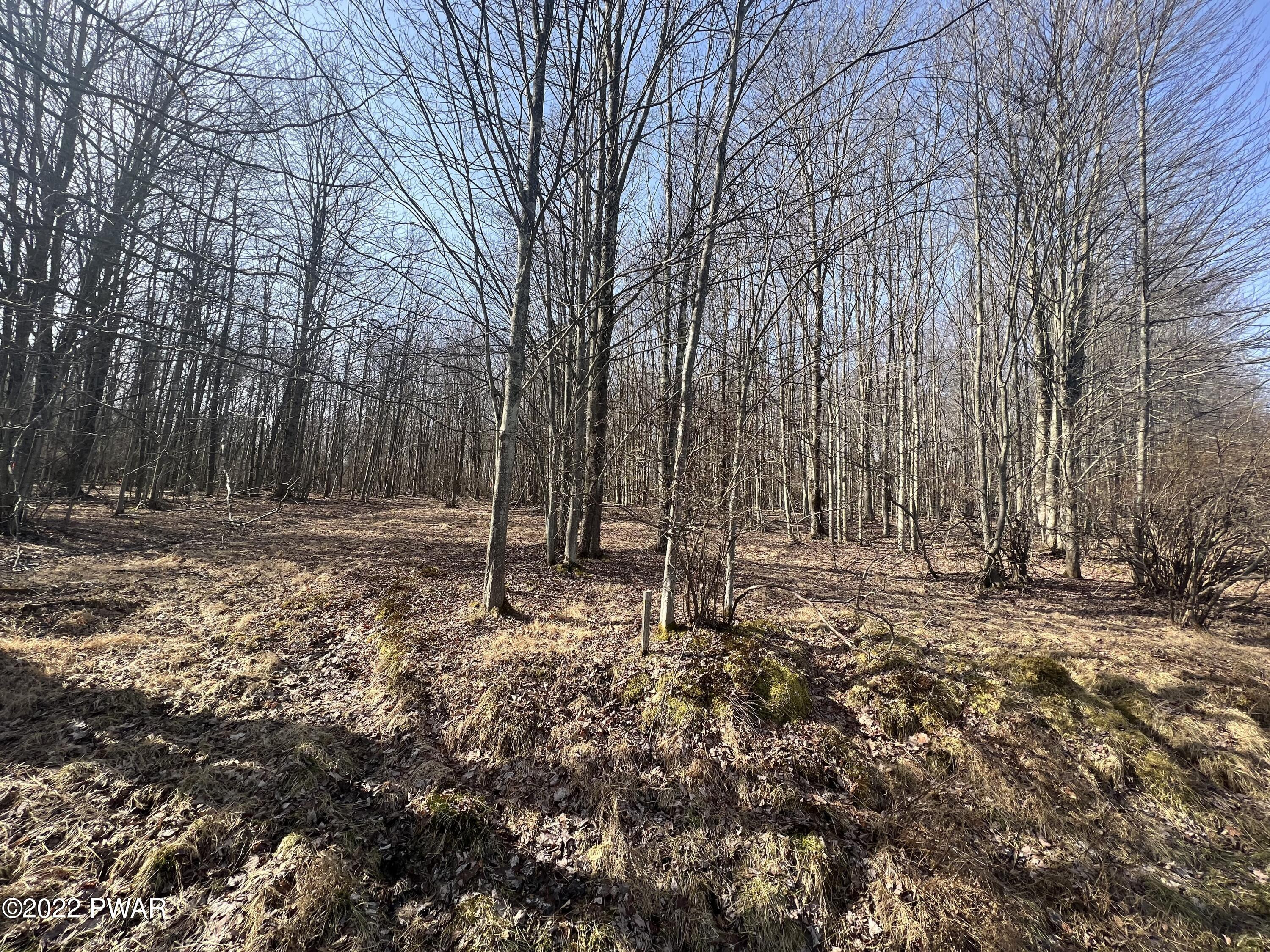 LOT 394 Snowshoe Circle, Lake Ariel, Pennsylvania image 1