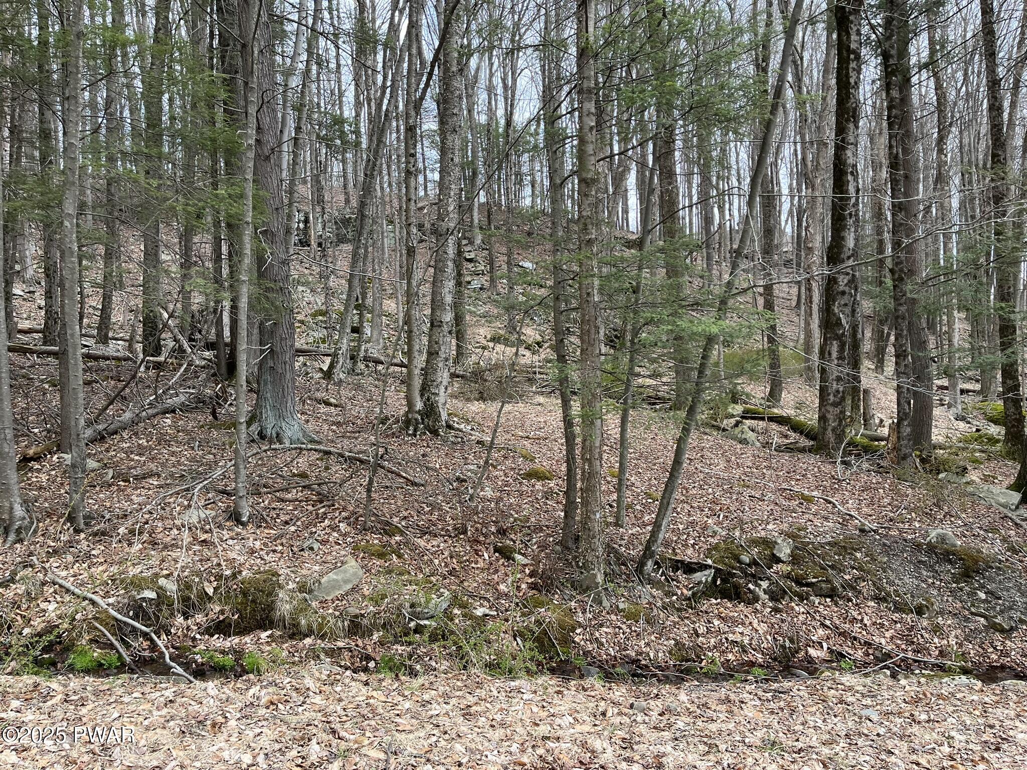 Lot 7 Game Trail Drive, Greentown, Pennsylvania image 1