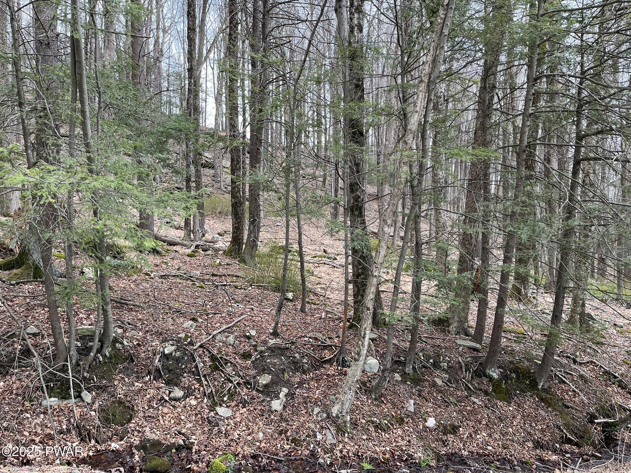 Lot 7 Game Trail Drive, Greentown, Pennsylvania image 3