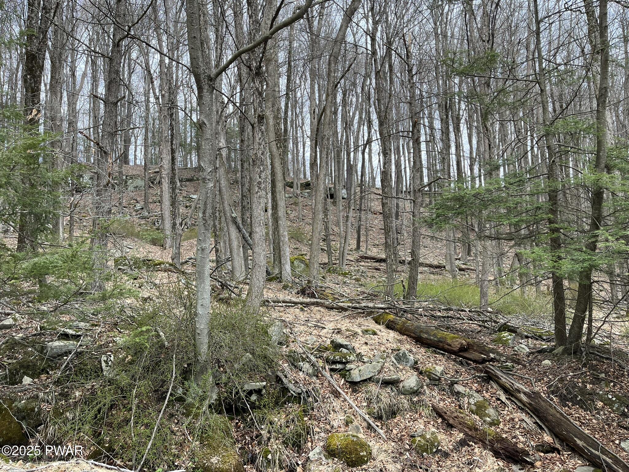Lot 7 Game Trail Drive, Greentown, Pennsylvania image 5