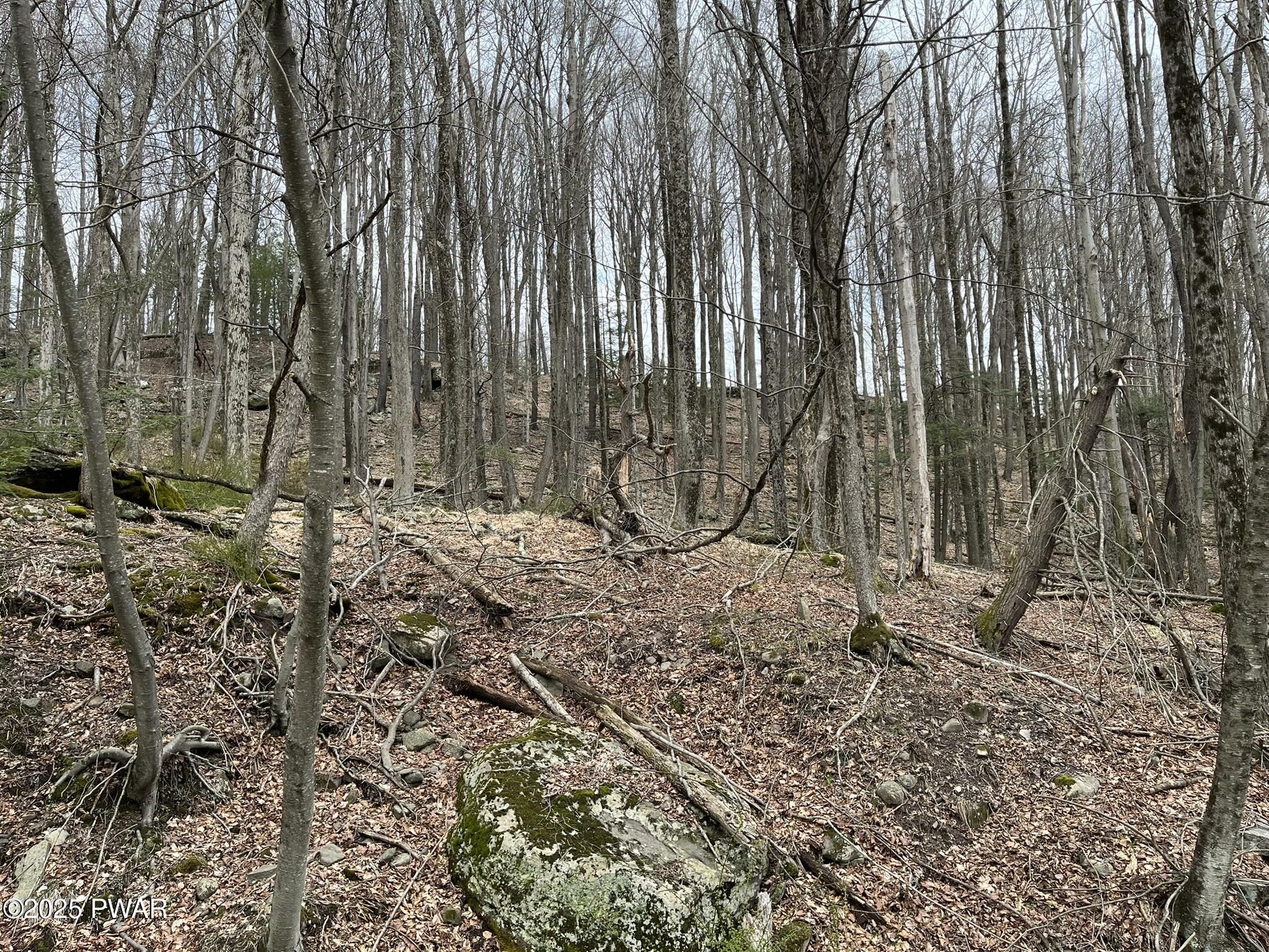 Lot 7 Game Trail Drive, Greentown, Pennsylvania image 7