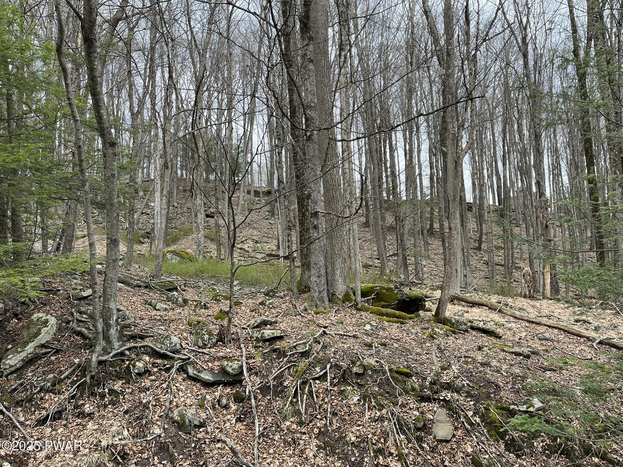 Lot 7 Game Trail Drive, Greentown, Pennsylvania image 6