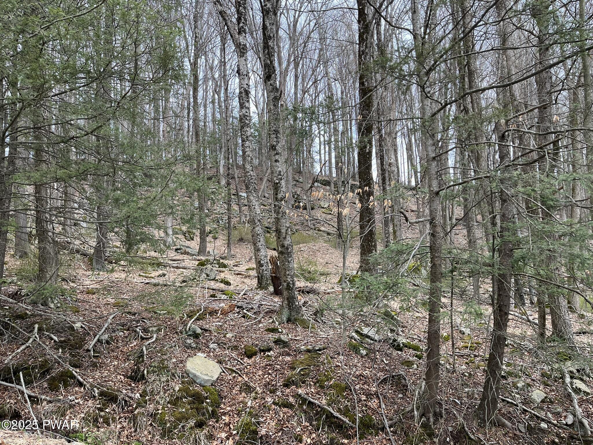 Lot 7 Game Trail Drive, Greentown, Pennsylvania image 4