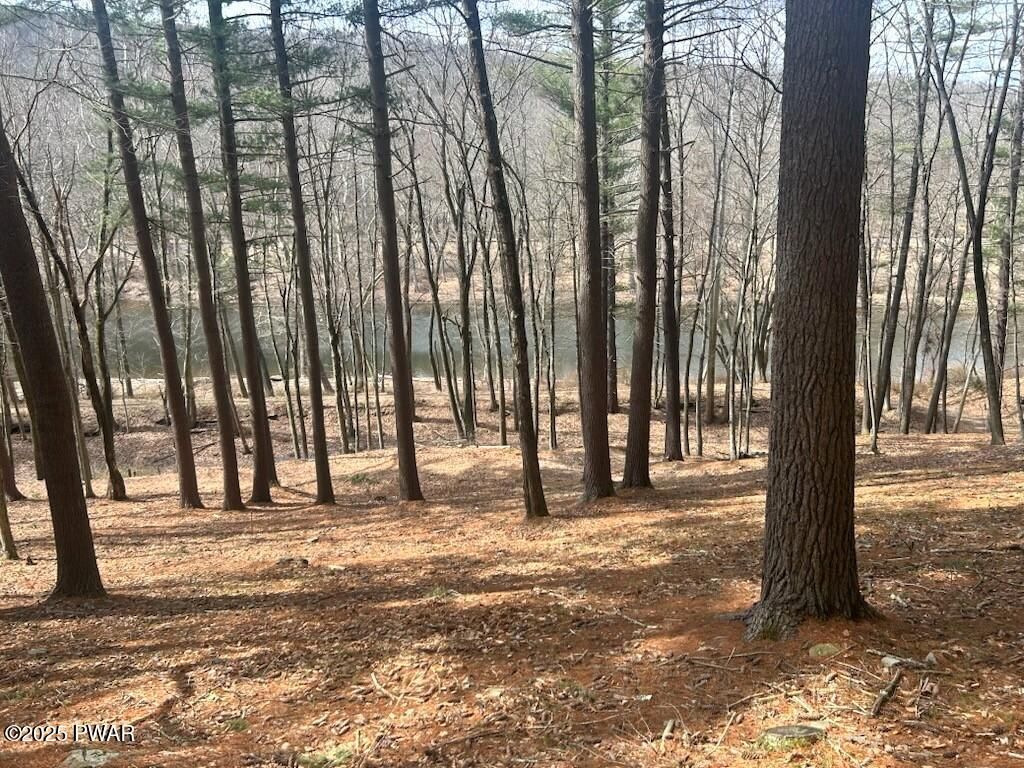 Photo of 2223 Circle Drive, Hawley, PA 18428 (MLS # PW260752)