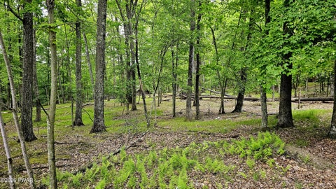 Vacant Land For Sale - Lot 34 Westcolang Road<br/> Hawley, PA 18428