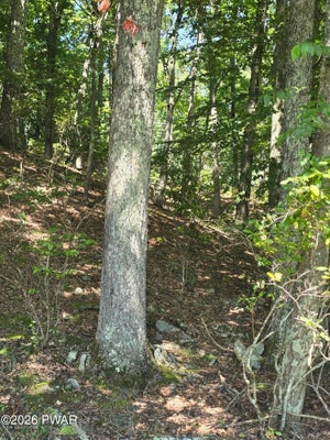116 RENEE DR, DINGMANS FERRY, PA 18328 - Image 20c4a6c02bfd108d86f8cf0fca9c92c9/1493359025
