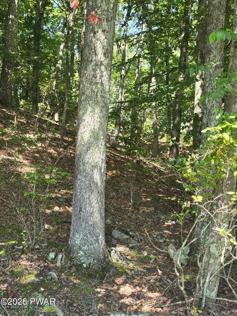 Vacant Land For Sale - LOT 4 Renee Drive<br/> Pike County, Dingmans Ferry, PA 18328