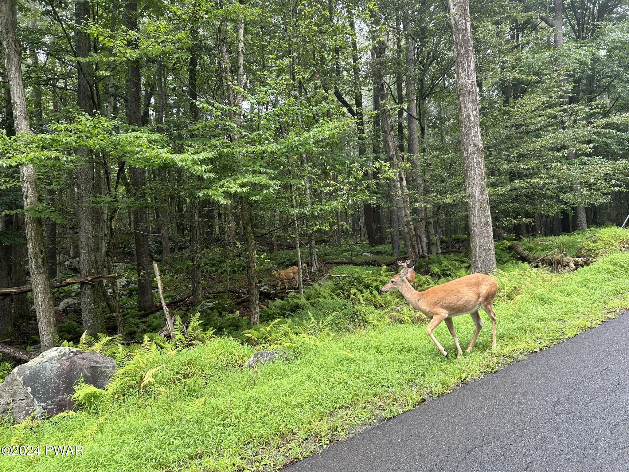 Lot 26 Raintree Road, Newfoundland, Pennsylvania image 7