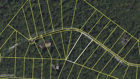 Vacant Land For Sale - Ridge Road<br/> Newfoundland, PA 18445