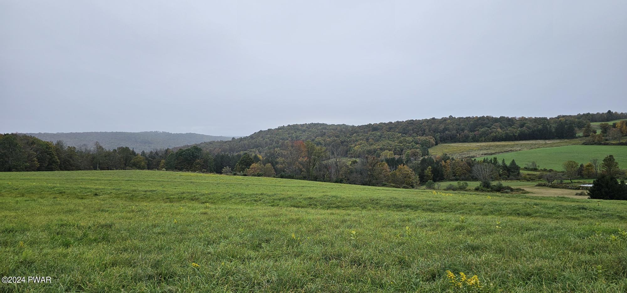 990 Calkins Road (25 Acres) Road, Milanville, Pennsylvania image 3