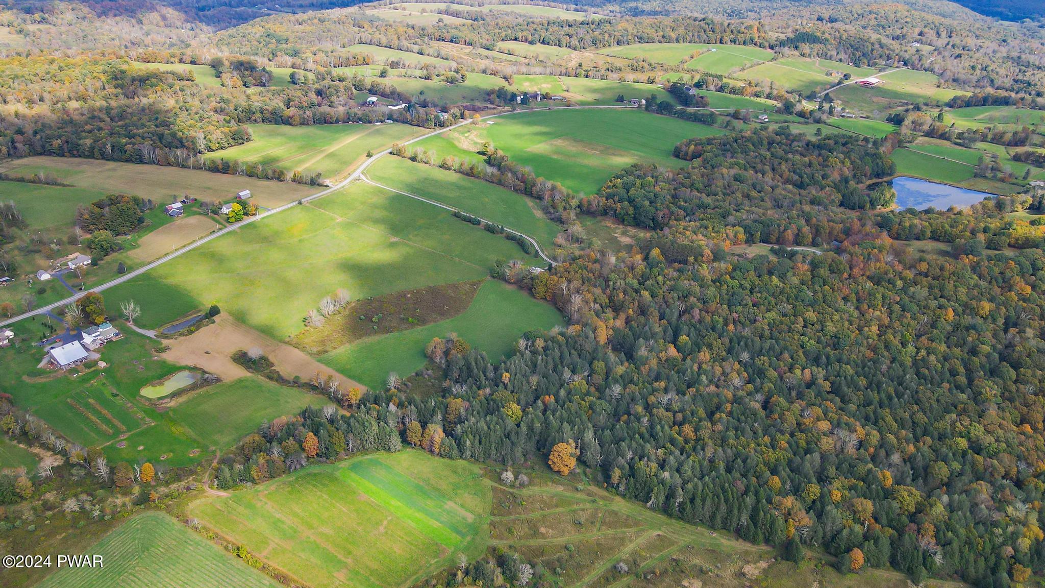 990 Calkins Road (25 Acres) Road, Milanville, Pennsylvania image 9