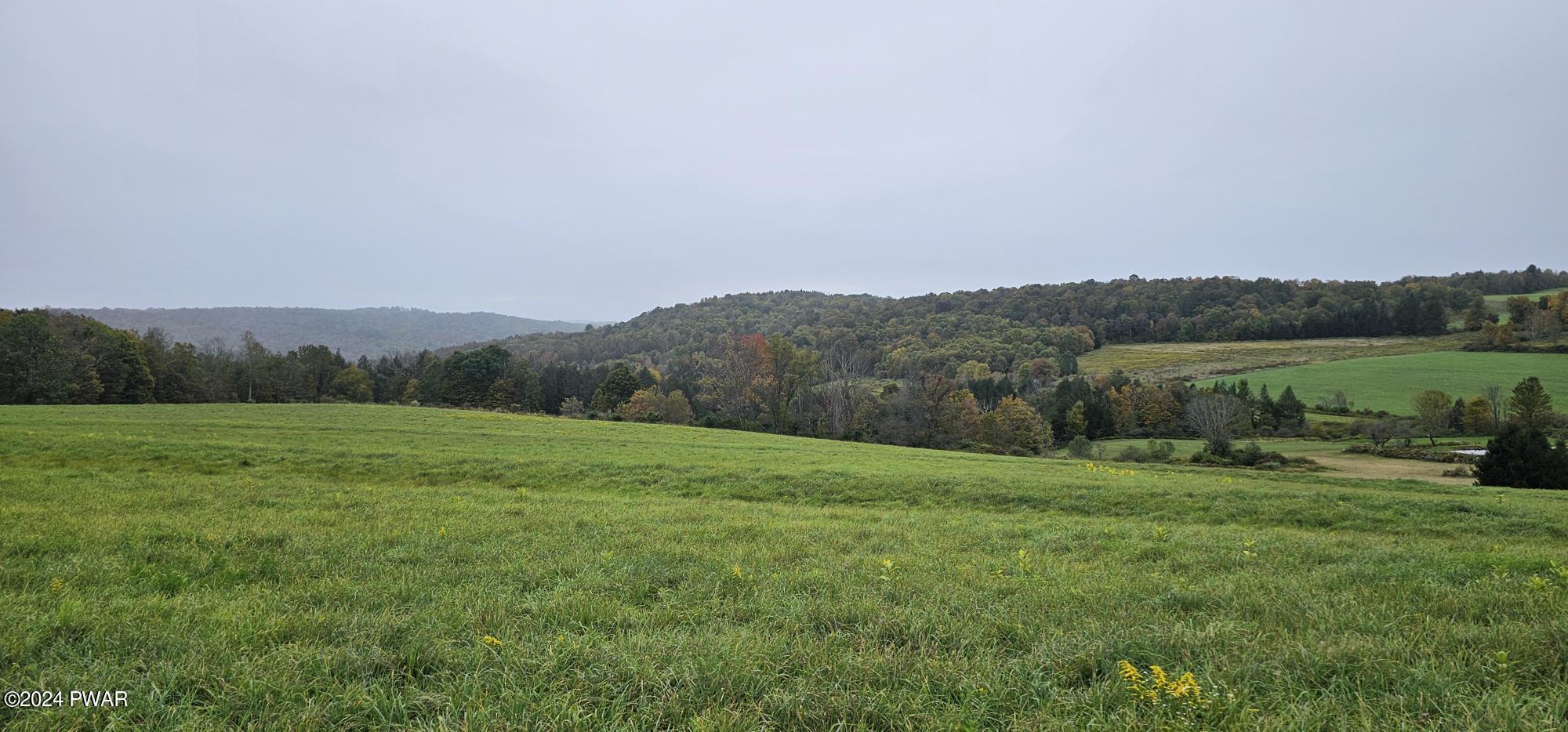 990 Calkins Road (25 Acres) Road, Milanville, Pennsylvania image 13